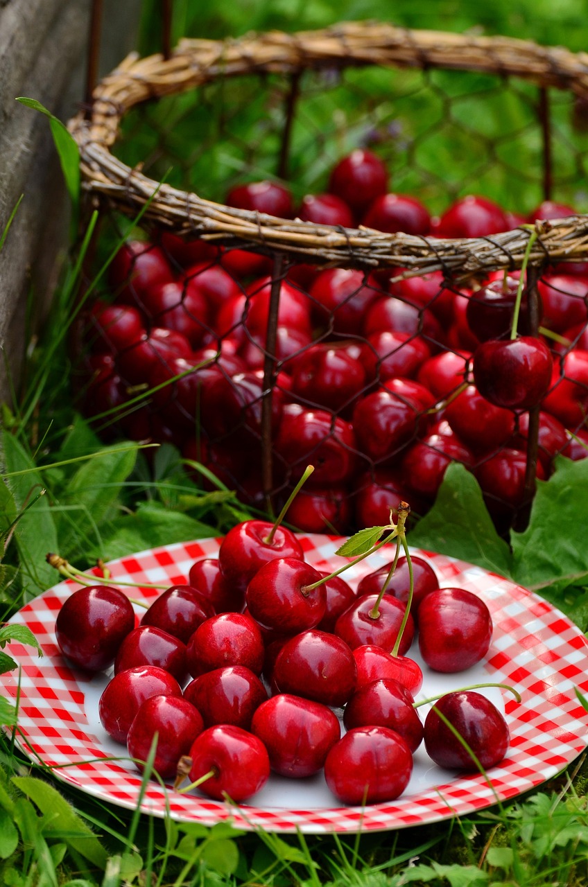 cherry fruit